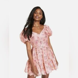 LoveShackFancy Target Pink Floral Mini Dress